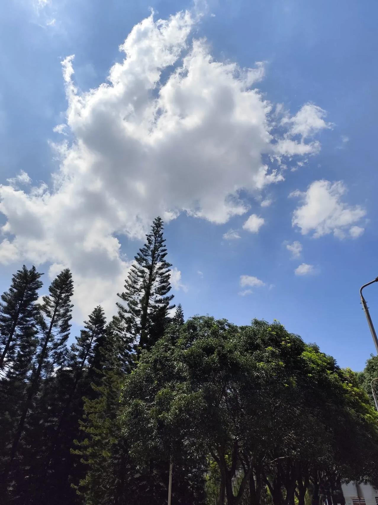 黄喂喂产后三个月大出血，柱子哥吓坏了，隔天带她去医院找主任医师检查。
黄喂喂还在