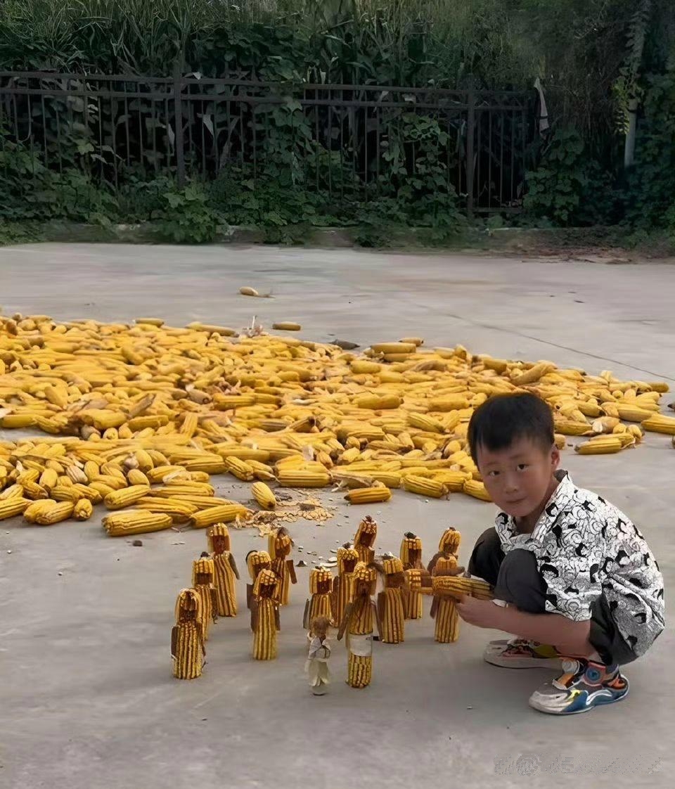 你们说说这些个玉米像啥？
