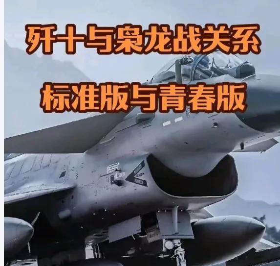 看了咱家J系列家族，有一个问题实在不明白，枭龙也属于歼击机，为什么被我们放弃成出