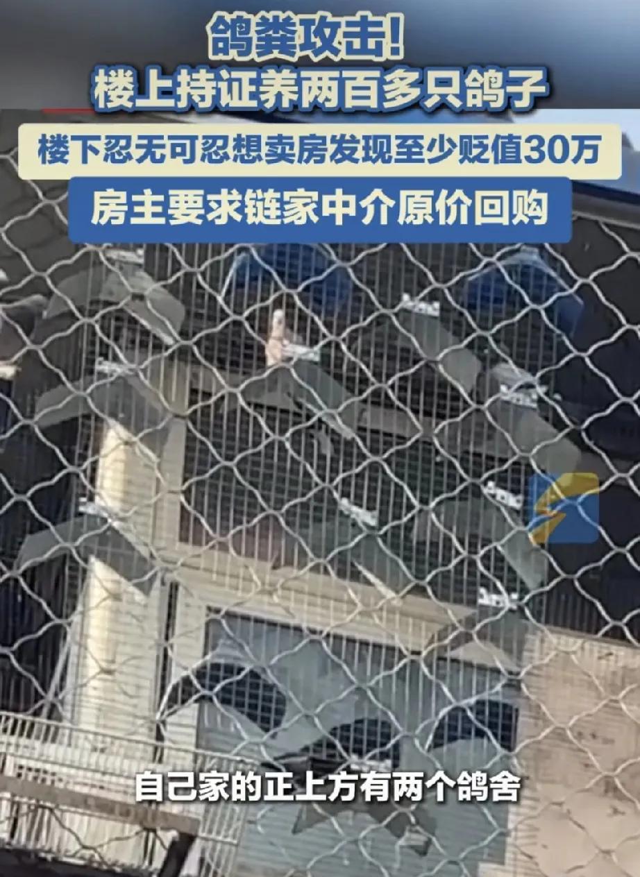 北京石景山李先生崩溃，楼上养200多只鸽子，房子贬值30万！  



这突如其