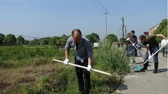 搞“人草大战”副市长等9人被处理！

近日，河南信阳在农村人居环境整治中，组织群