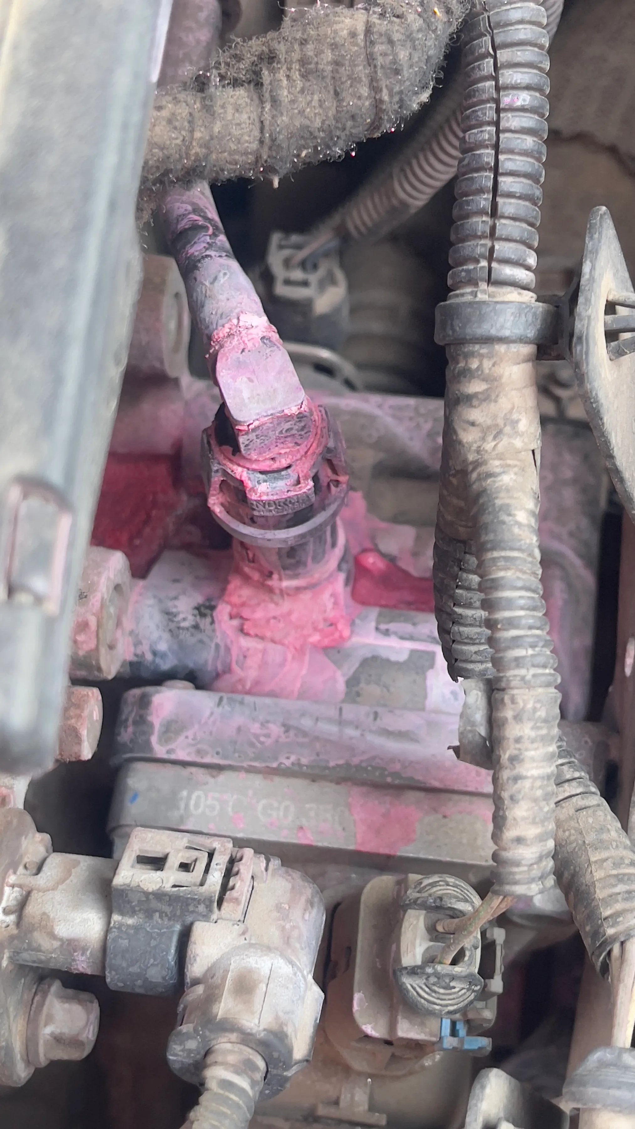 途虎养车：发现车子防冻液泄漏，专门去找了一家途虎，以为便宜，要价五六百，因为也不