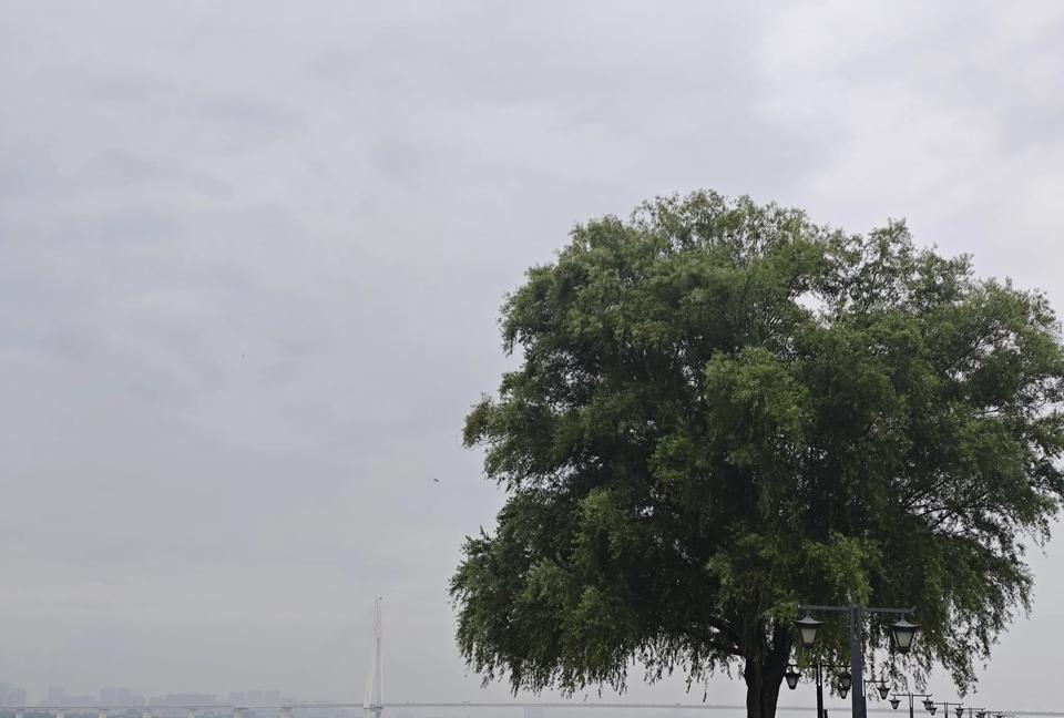 郑智落选国家队主帅，实为明智之选；杨晨品行能力俱佳，中方教练更应属意
听闻郑智最