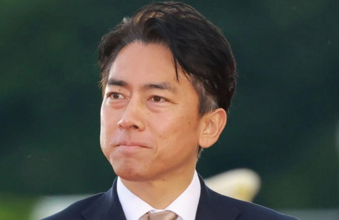 日本最新民意“如小泉进次郎成为首相，日本立刻完蛋”
根据日本最新JNN民意调查，