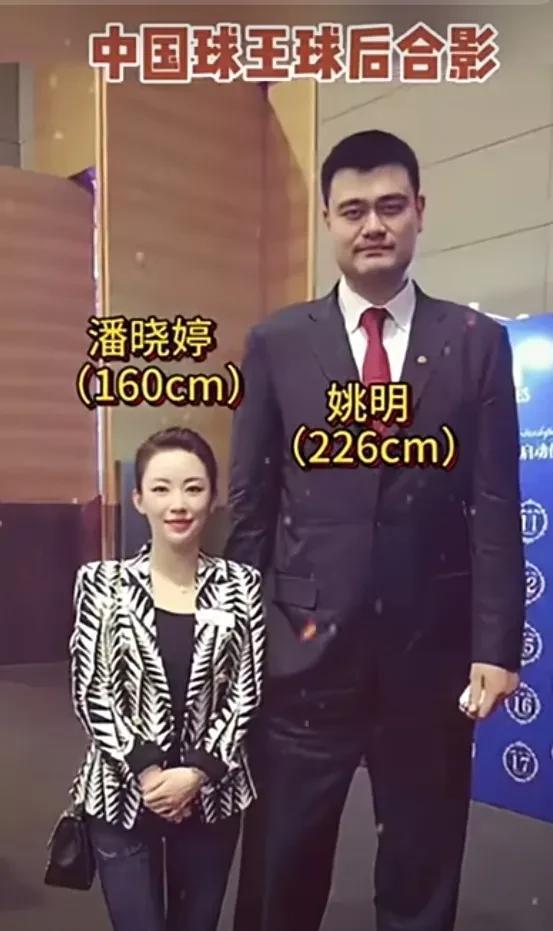 看到姚明和潘晓婷的合影，忍不住开个脑洞，要是他俩结合，那球后代得多厉害啊！姚明是