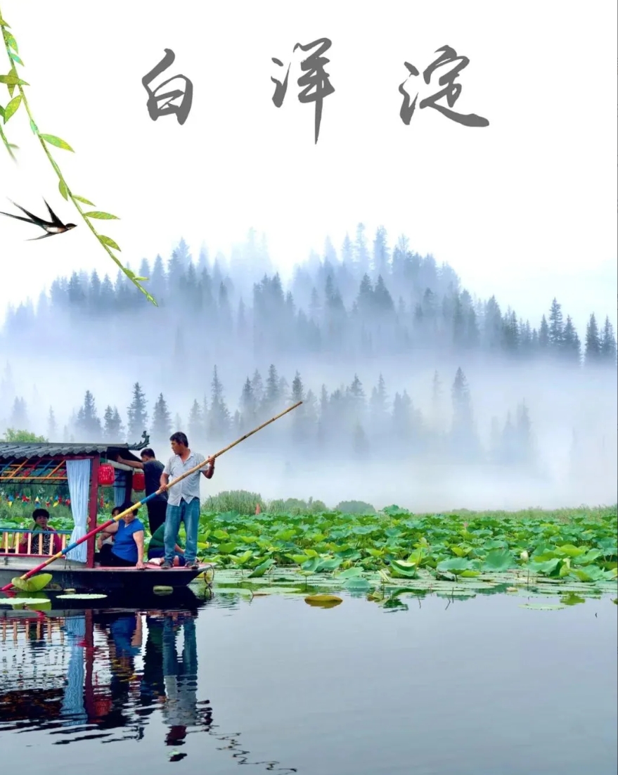 扎胎的终于刑拘了，可游客也已经走光了！白洋淀为自己的狂妄付出代价！
白洋淀的现状