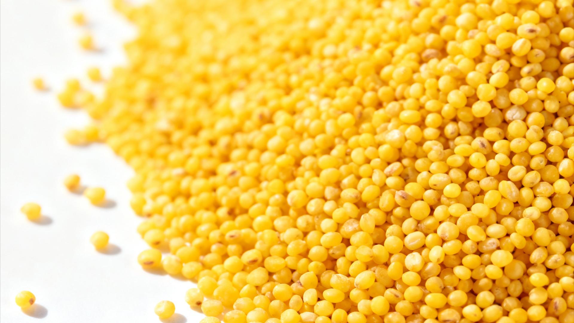 一捧兴县杂粮：承载晋西风土，还原食材本真