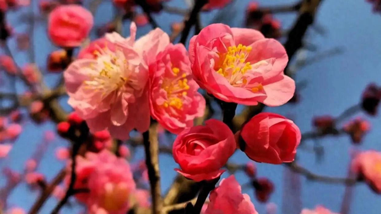 做人要留德，做事要留心，人生要留白