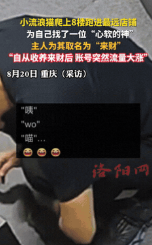 这辈子来报恩的！”重庆，一只眼睛有毛病的小猫因为没人领养，就自己爬到了8楼，来到
