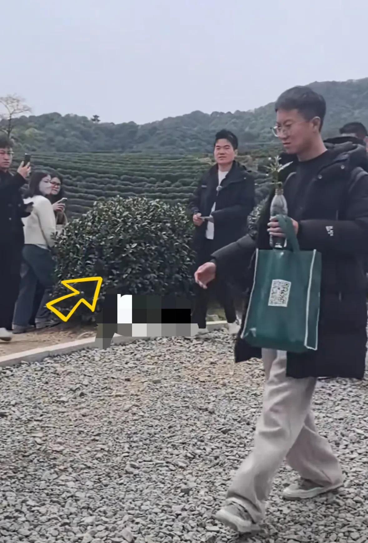 注意看，马骞手里拿的矿泉水瓶，这下实锤了全网都知道宇辉在茶园顺了一棵茶树，看来这
