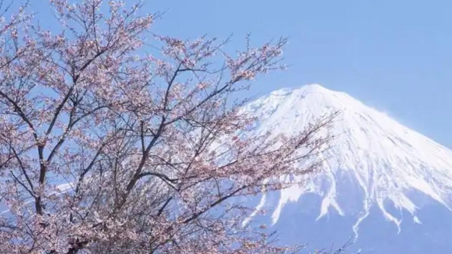 喜火的人为什么2025年运势还不行