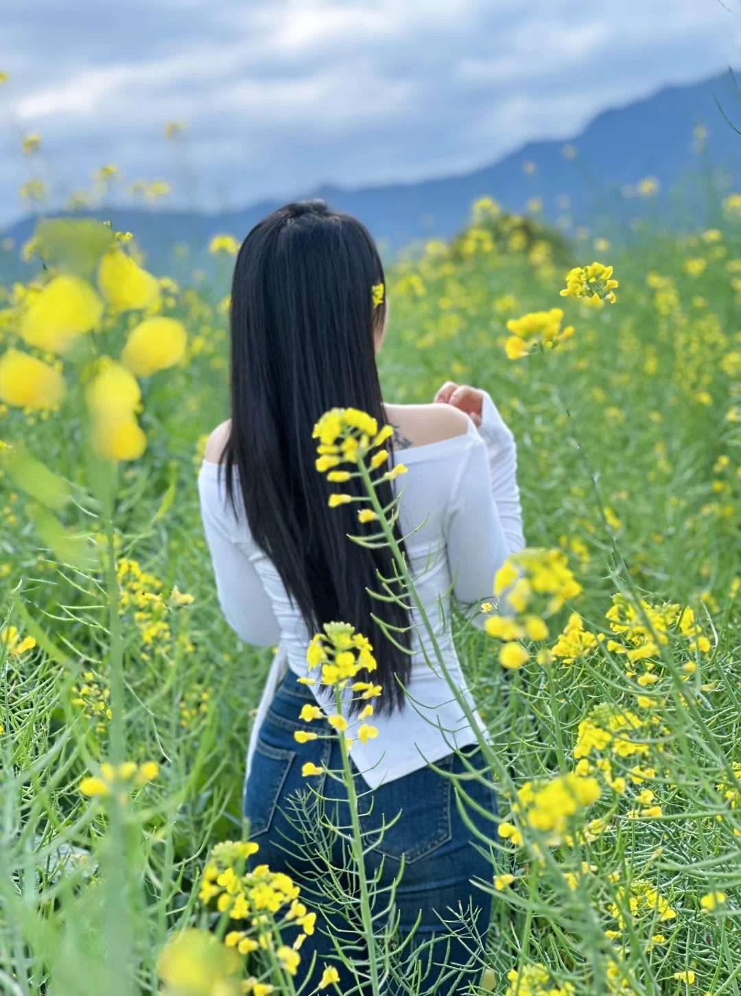 对我用美男计吧，我想将计就计。