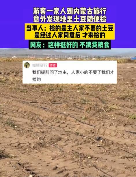 近日，男子一家三口去内蒙古旅行，意外发现路边地里有很多土豆，竟然跑到地里捡土豆，