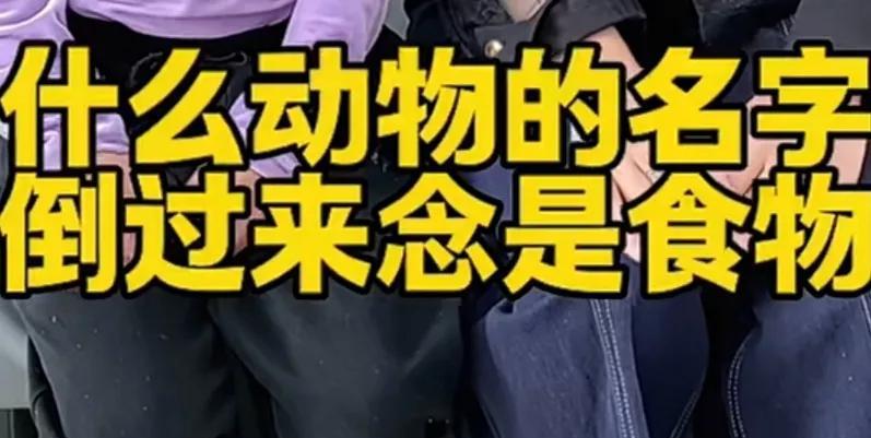 高难度的问答题，问；“什么动物的名字，倒过来念是食品。”主道题，我整整想了两天了