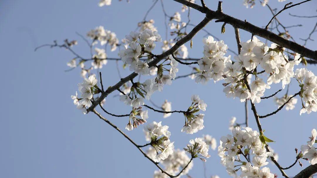 香港书号出书能发行吗？很多作者在这里容易踩坑