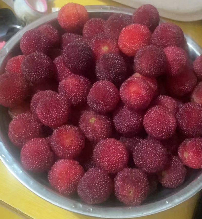 只要你开心，500万我也愿意给你花，但是5块不行，因为我真有