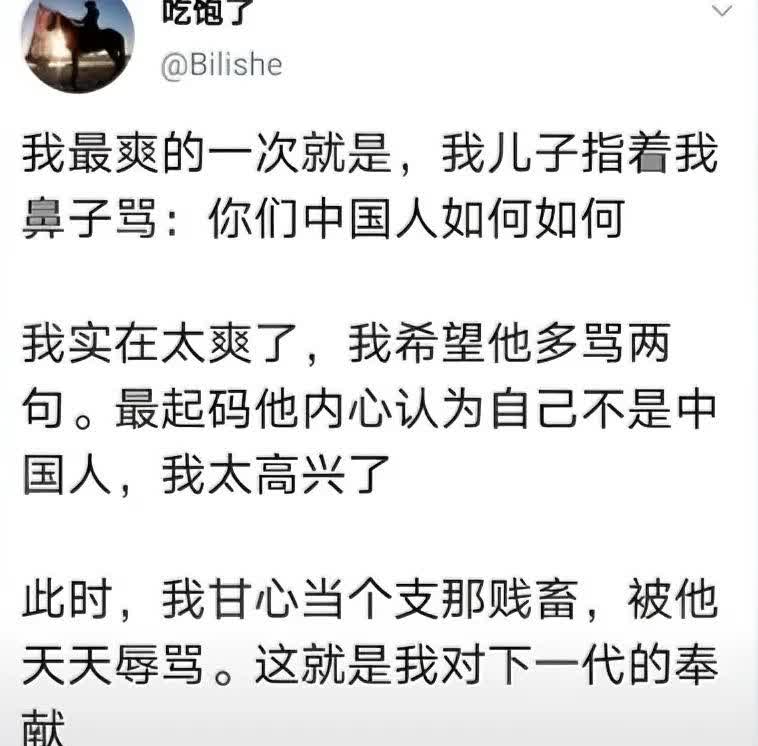 润人被自己孩子痛骂“你们中国人如何如何”却十分高兴，原因竟然是他觉得他孩子不觉得