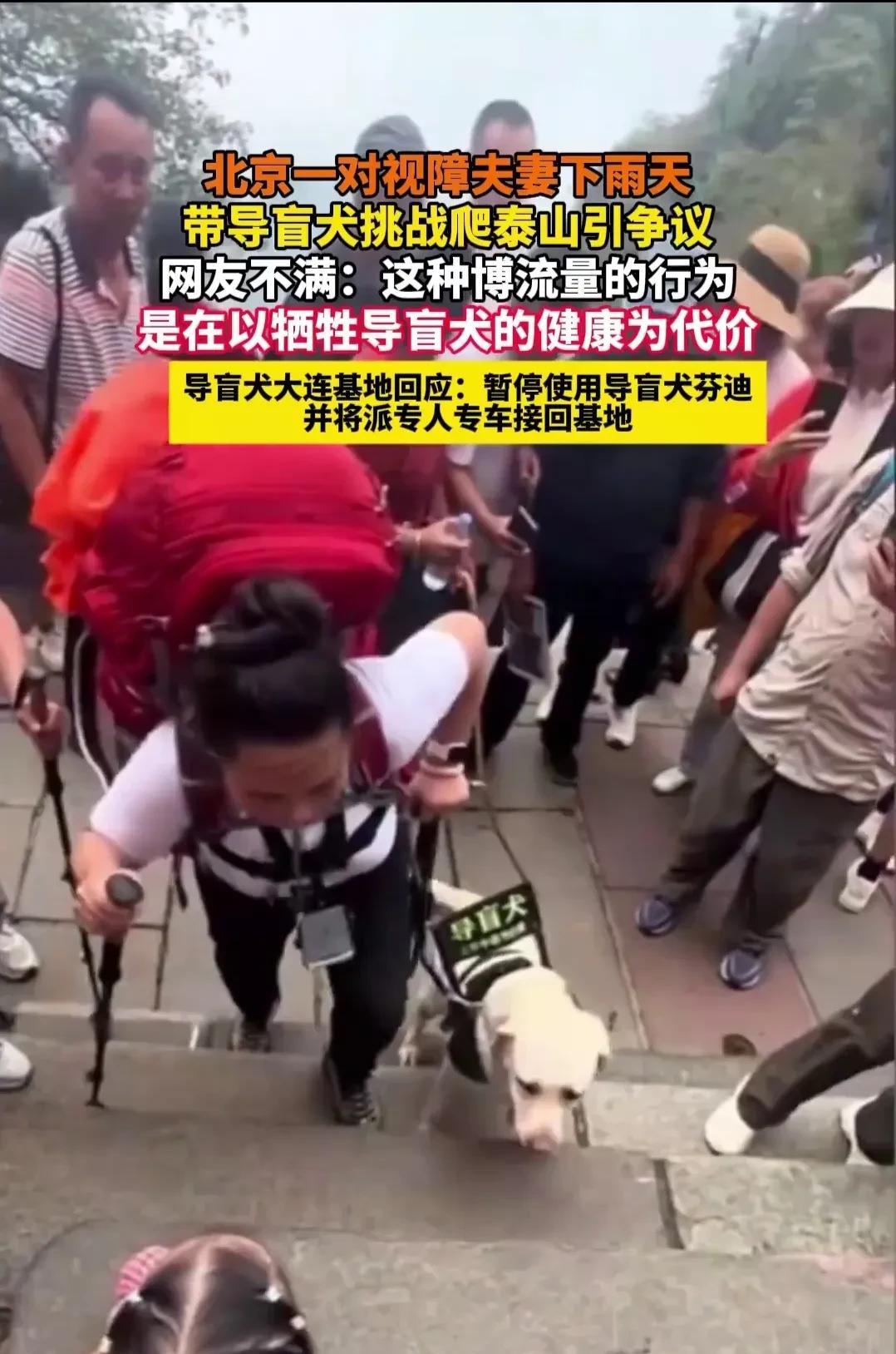 盲人夫妻带导盲犬爬泰山惹众怒，导盲犬连夜被接走！
很多网友说，真的不理解盲人为什