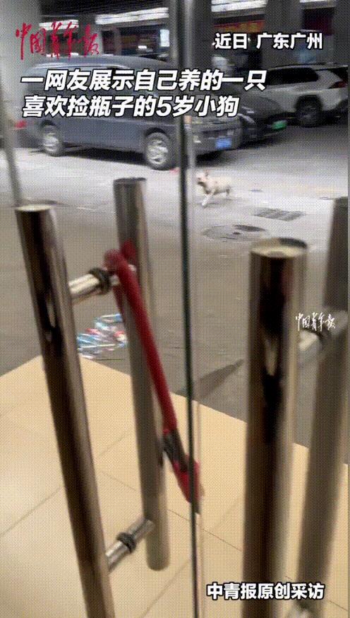 “万物皆有灵！”近日，广州，一网友在网上分享了自己养的一只5岁小狗，每天早中晚都