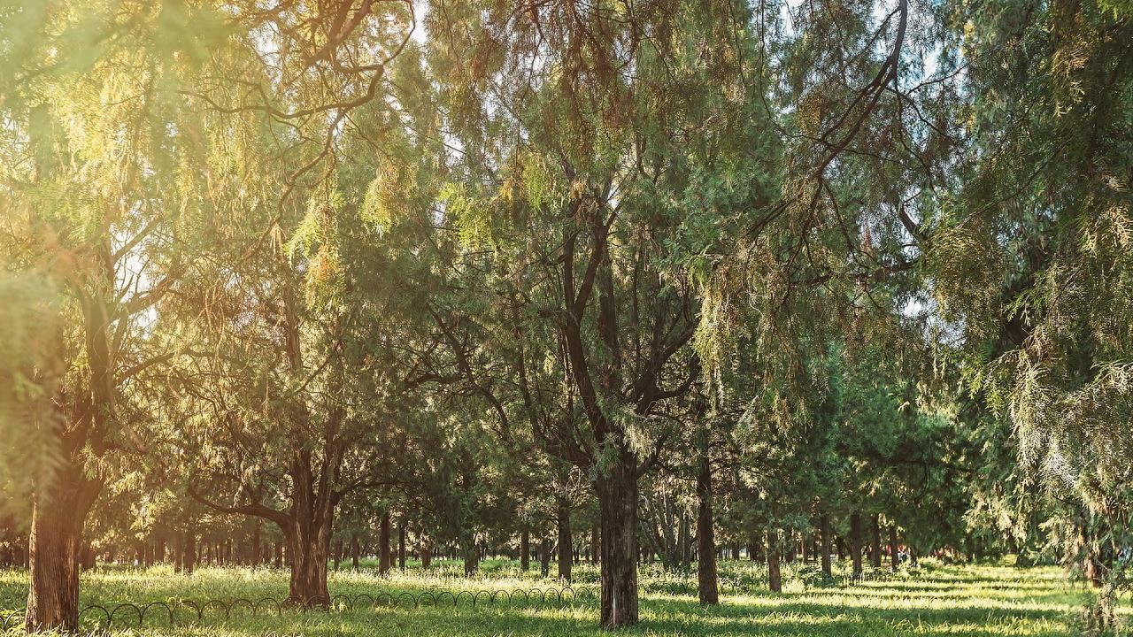 定制化模具：外壳注塑加工的品质基石