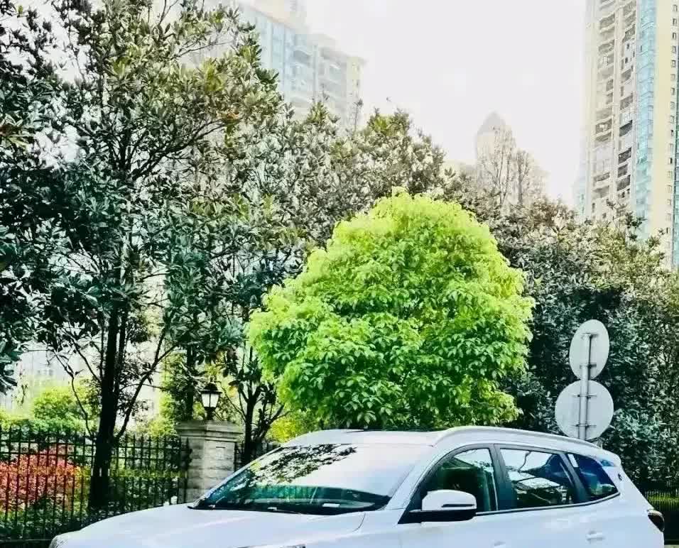意大利美女总理梅洛尼慌了，欧盟主席冯德莱恩也懵了，法国总统马克龙也没想到，就连马
