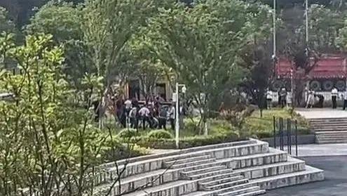 重庆学生坠进化粪池身亡事件！分管副校长李某被免职