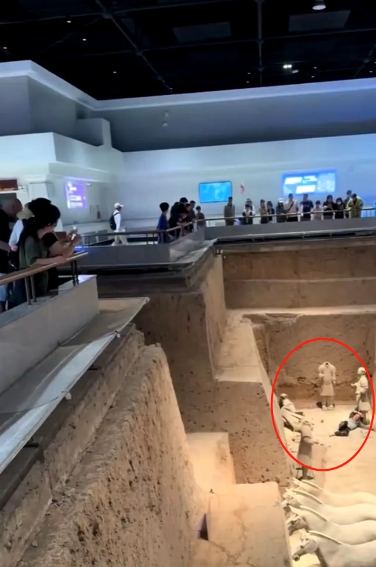 真是活久见，就在今天，一男子掉入西安兵马俑三号坑，直接砸烂两个兵马俑！见过手机掉