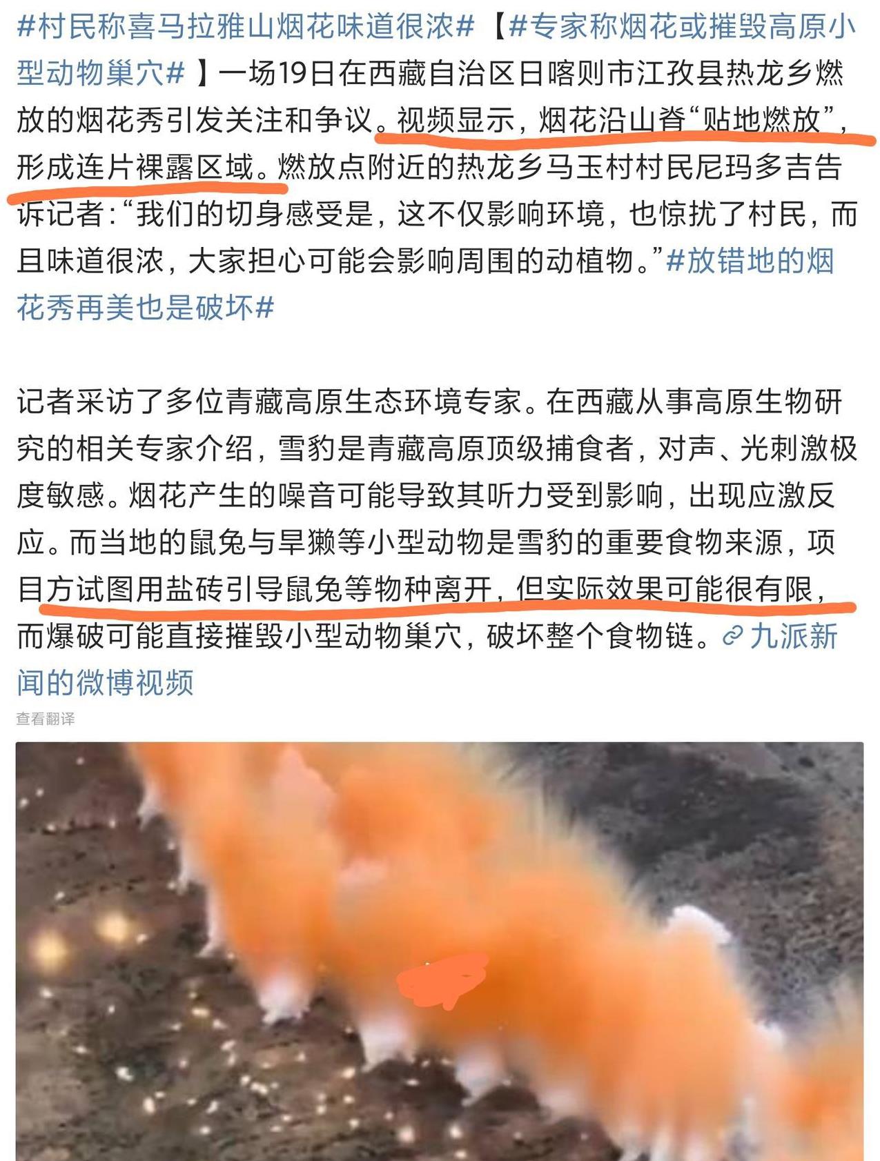 老艺术家蔡某某应该公开谢罪，他这个影响太恶劣！
在喜马拉雅山脉燃放烟花的事情，已