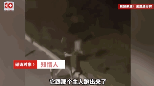 太心寒了！”7月8日，甘肃兰州，一对情侣在深夜骑电动车带着一只小白狗，突然，男主