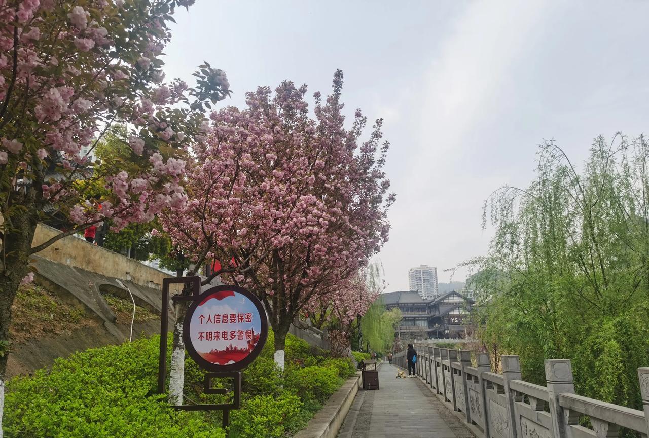 中年人的自嘲
臣本布衣，躬耕于山野，不堪农活重负，十年寒窗，得一铁碗，丰衣足食。