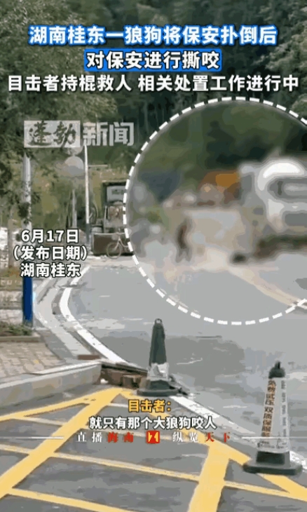 “家里养狗的注意了！”近日湖南一男子出去倒垃圾时，突然冲出一条大狗，将他扑倒在地