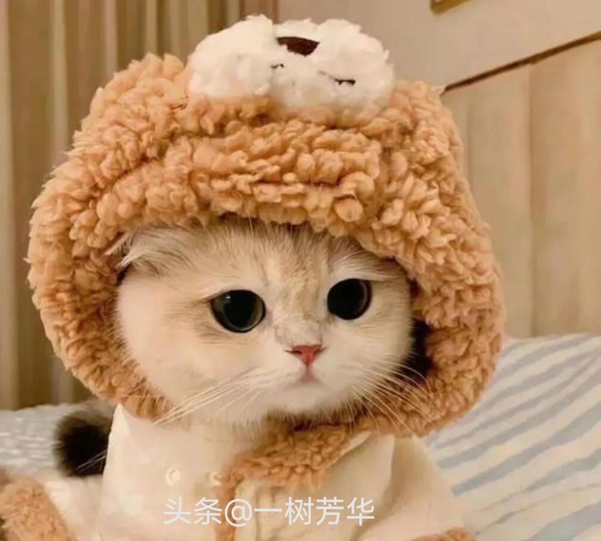 发现没有，现在这个社会，人际关系很复杂，虽然表面上看似一团和气，一片和谐，其实，