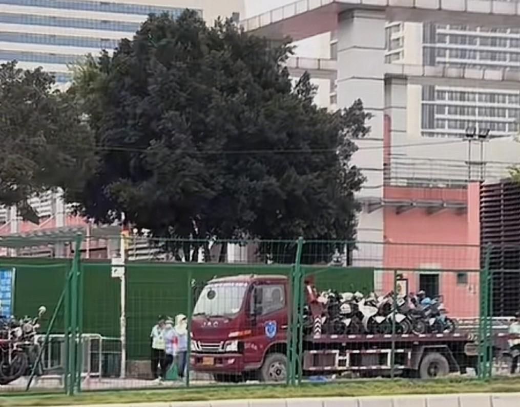 牛儿太难了，生活实属不易啊！
世上拼搏的“牛儿”为了活着，工作累死累活忙了一整天