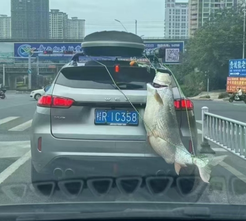 这兄弟绕着贵州饶了大半圈了，还是不回家