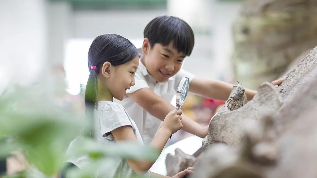 一场让孩子主动学习的教学实验