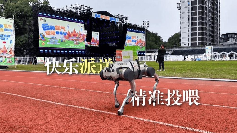 Kandi机器狗亮相氧气音乐节，派送惊喜成“人气王”