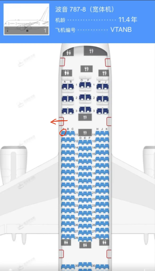 印度波音787空难飞机上242人，仅一人幸存，这位幸运乘客的座位是11A。那么这