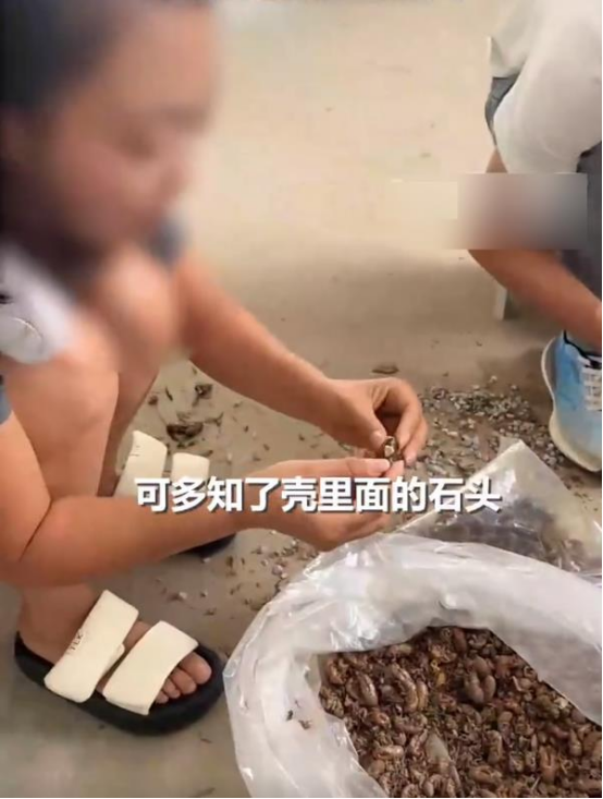陕西铜川，一女子收购知了壳，看卖家是个老人，就将原本325元1斤的价格，以以33