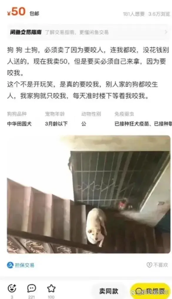 闲鱼浏览到的，笑死了~~~~~~~~~~~~
