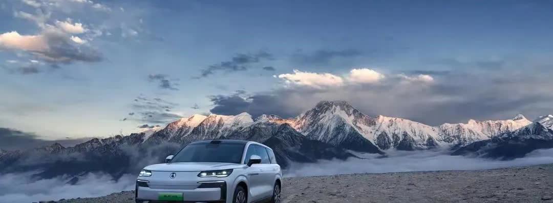 这就是现实啊！
电车30万：使用10年，电费1万，卖1.5万；
油车30万：