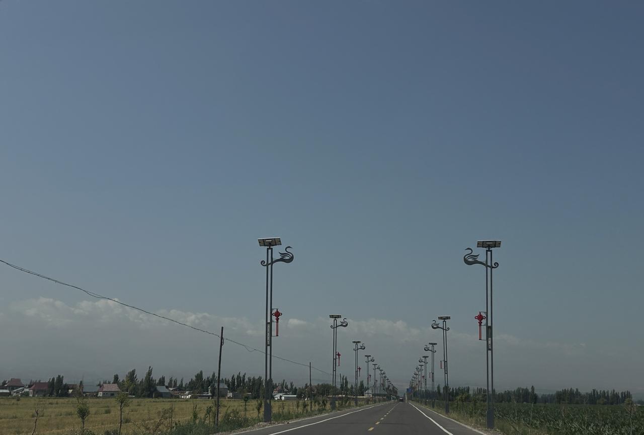 伊犁之行基本结束，朋友打电话来，说伊宁有个天鹅湖要我去看看，现在有没有天鹅他也不