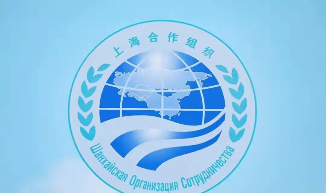印度声明惹争议，上合组织内部有分歧











---






