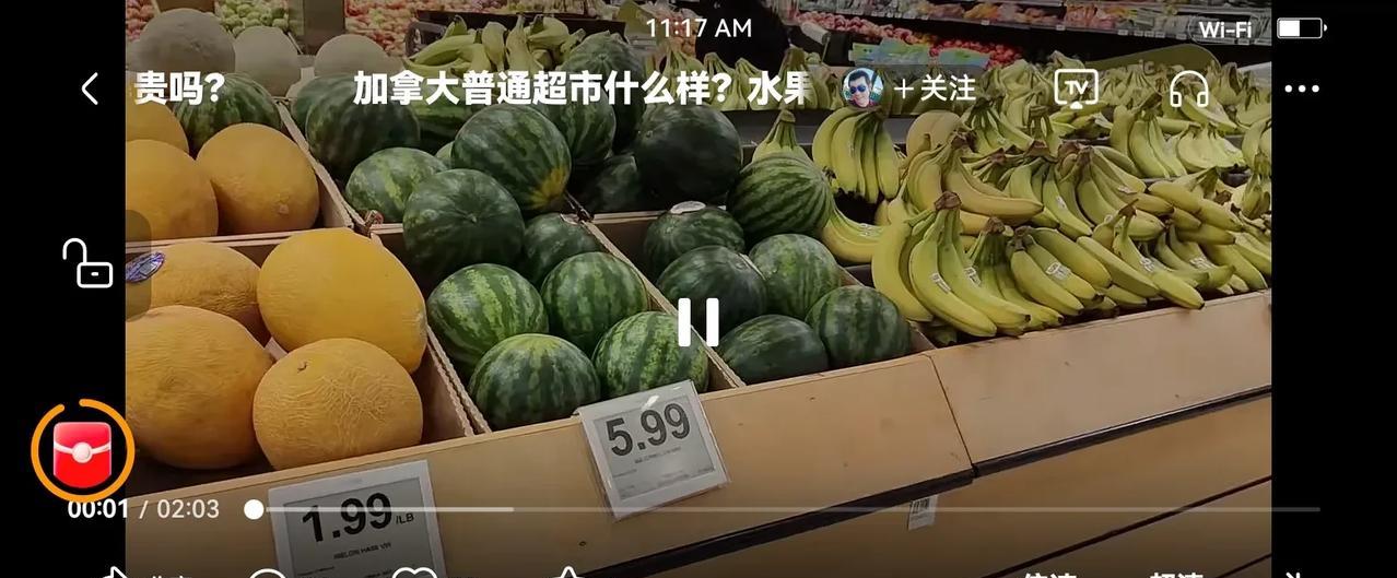 到加拿大住了三个月，
我发现其实他们的生活，
没有我们过得好，
这里买西瓜20元