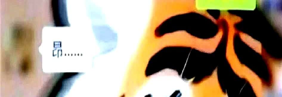 杭州一女子在ktv点了两个男模，在有偿陪侍过程中，女子得到身心极大满足，同时在两