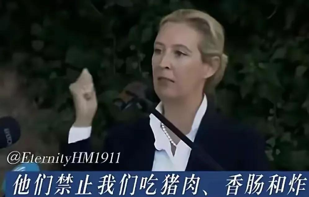 德国女政治家魏德尔从来没有公开反犹，网上流传她反犹的视频，也都是国内无良自媒体为