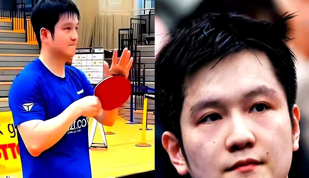 德国人快疯了，签了樊振东以为不过是个世界冠军，没想到请来的是一尊