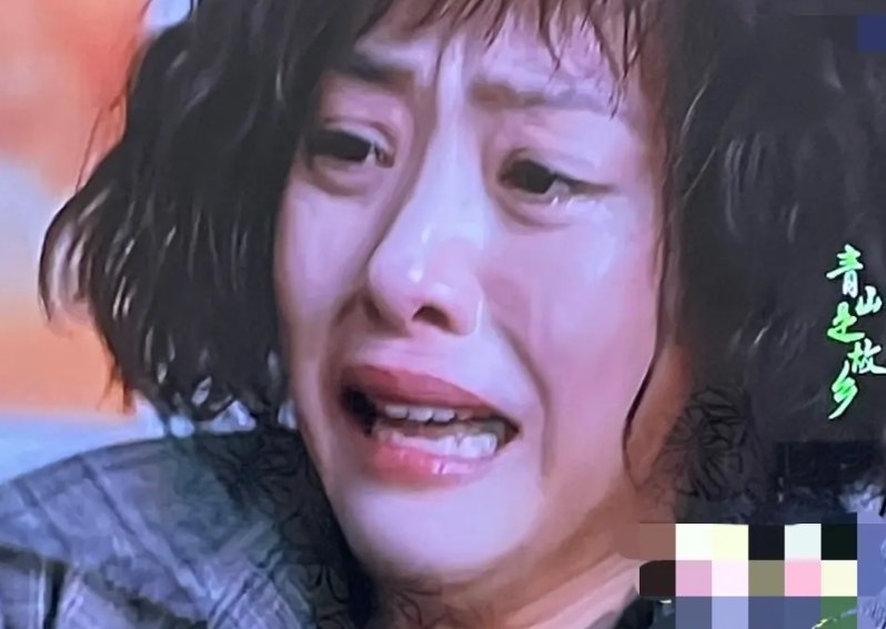 大结局反转太快了《青山是故乡》突然就完播了，一时半会有点没缓过神来！
这部剧的主