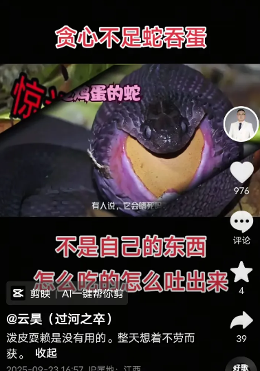 好消息，52马上要开了，消息确凿！
姚家男儿今天晚上直播说：
好日子长着呢，
等