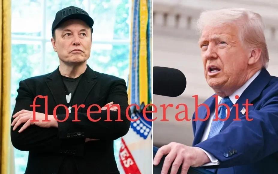 SpaceX老板“开撕” 他的前“第一伙伴”。他写道：“抱歉，我实在受不了了。这