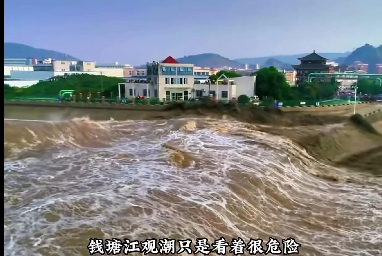 观桥塘村
    哈哈哈，这解说太绝了，魔性十足啊！
    钱塘潮，看起来很危